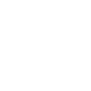Minority Business Enterprise certification badge